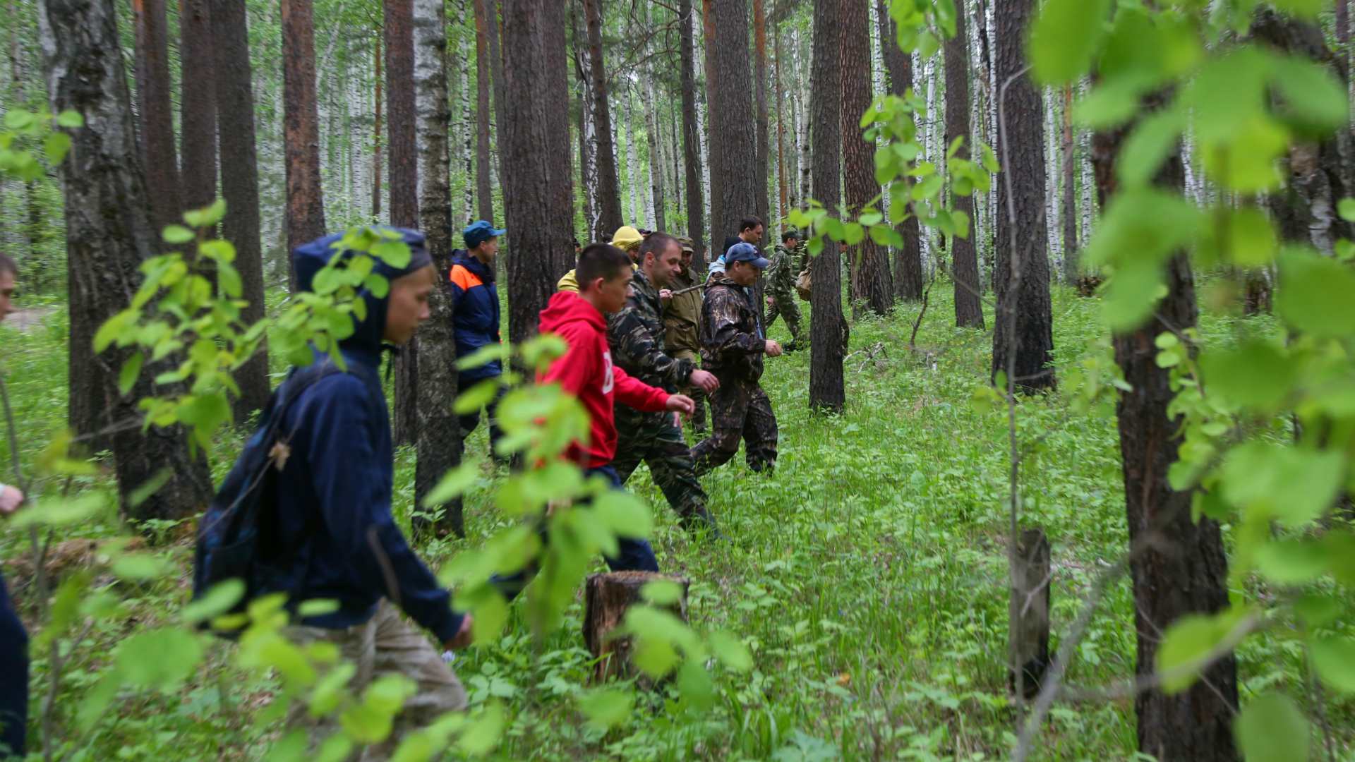 Пребывая в лесу. Поисковые группы людей в лесу. Волонтеры ищут в лесу. Волонтёры ищут пропавших людей в лесу.