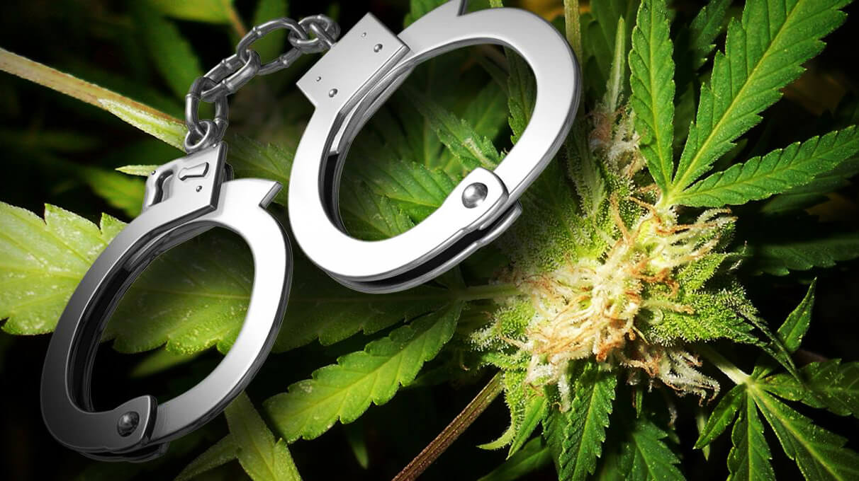 арест марихуаны