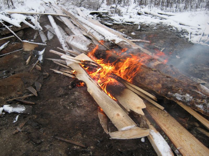 Сжигание дерева. Сжигание древесины. Сжигание отходов древесины. Сжигание древесины зимой. Сжигание порубочных остатков.