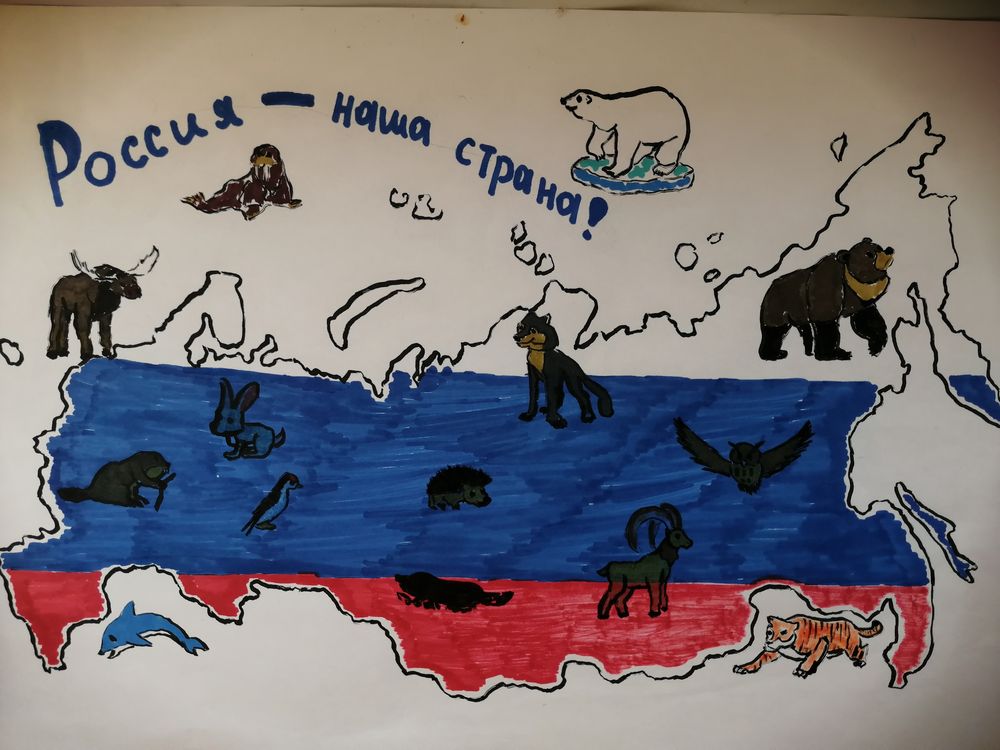 Раскраска Карта России