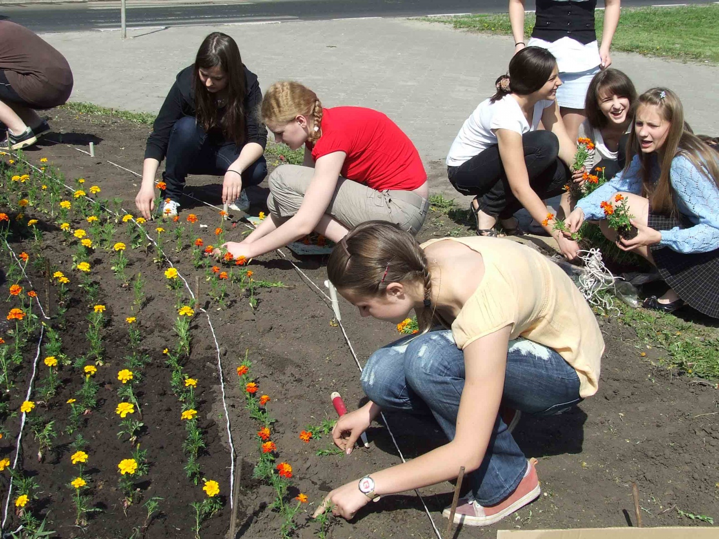 Школьники высаживают цветы