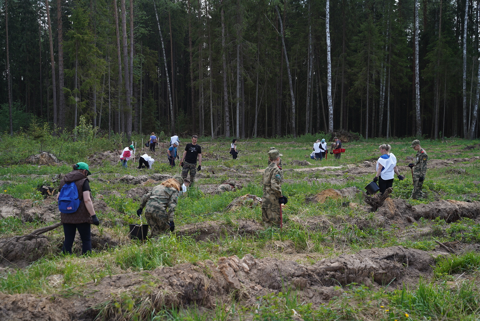 Игорь Руденя со школьниками и студентами высадил ели в Калининском районе