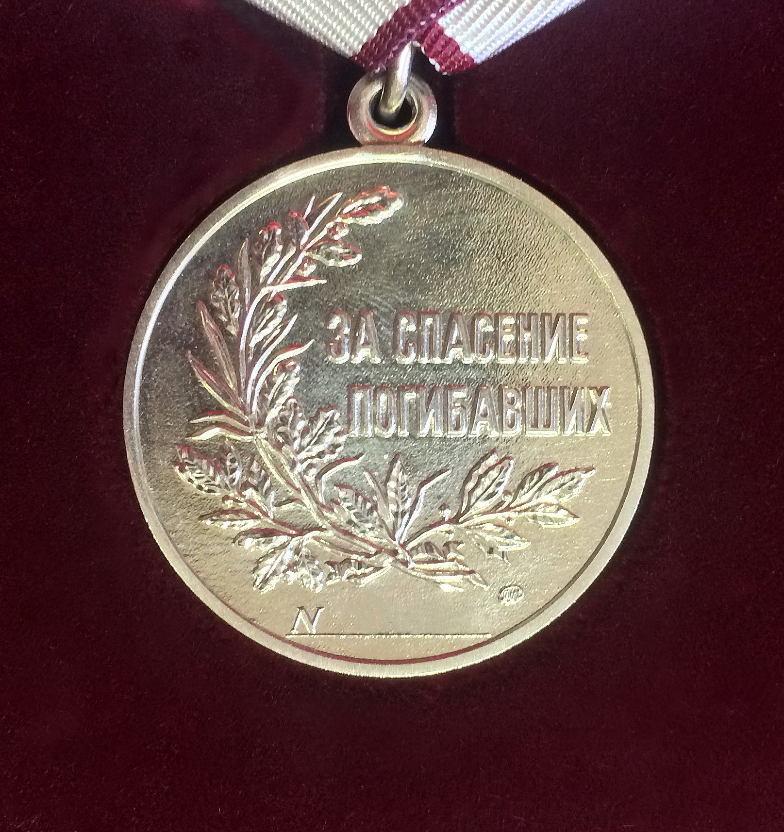 Игорь Руденя выразил слова благодарности награждённым медалью «За спасение погибавших» школьникам из Тверской области