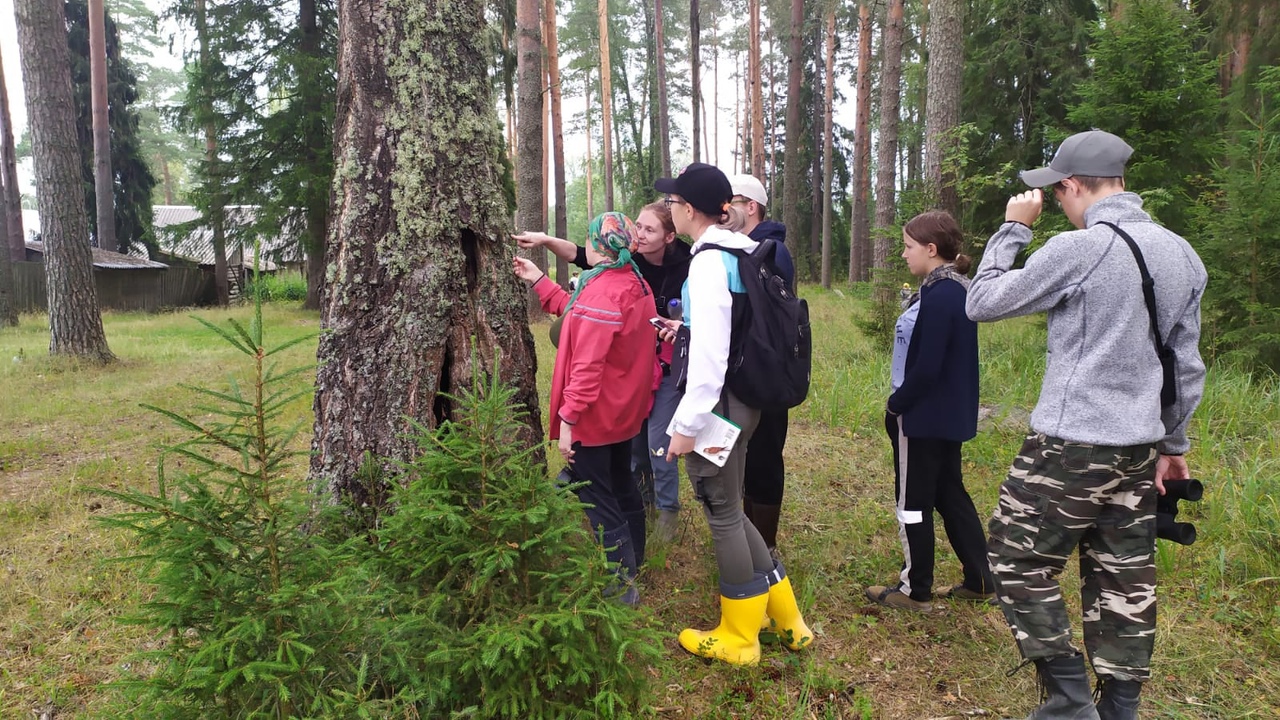 Школьники Тверской области проводили геоботанические исследования в «Академии леса»