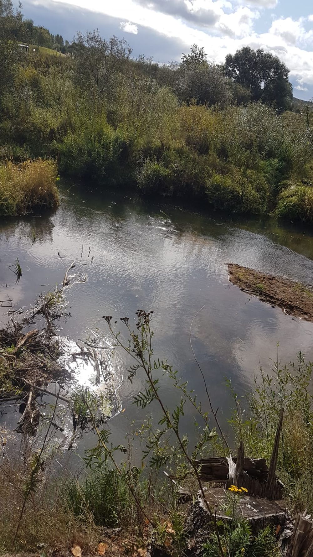 В Торжокском районе русло реки Тьма завалило камнями