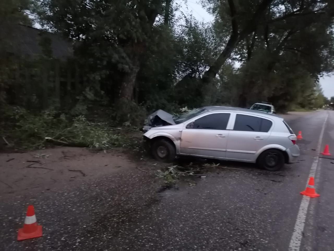 В городе Удомля автомобиль Опель столкнулся с деревом