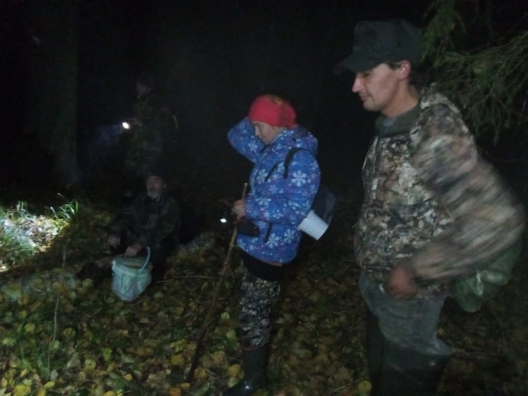 В Тверской области благодаря бобрам спасли трех человек