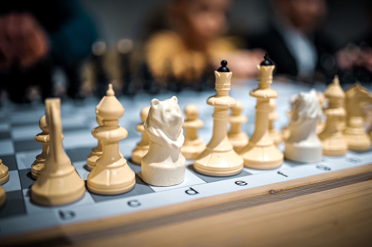 В Твери прошёл сеанс одновременной игры в Медвежьи шахматы