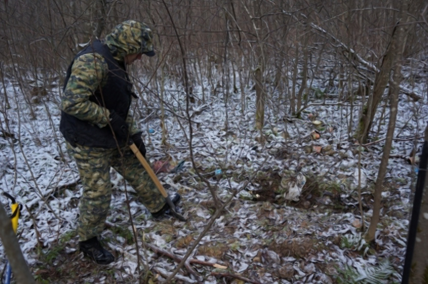 В лесу Тверской области нашли скелетированные останки убитого мужчины