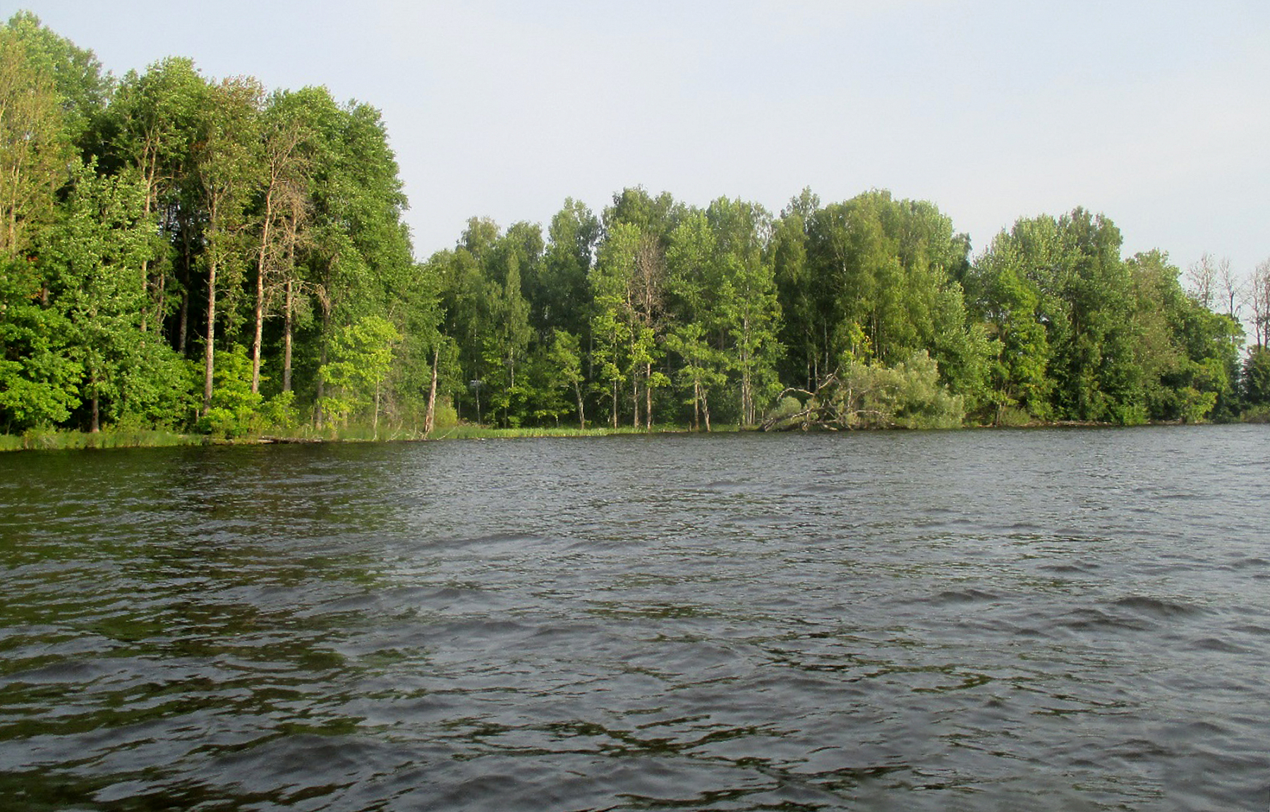 В двух районах Тверской области появились новые природные парки