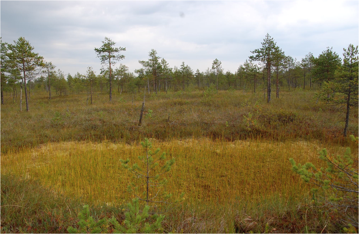 В Тверской области утвердили границы 12 особо охраняемых природных территорий 