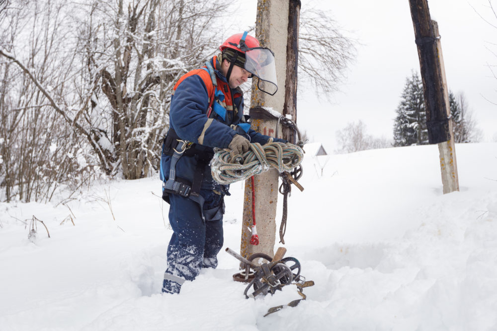 Фото: Россети