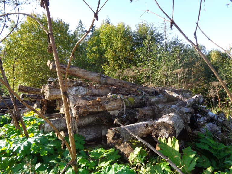 Фото: Россельхознадзор