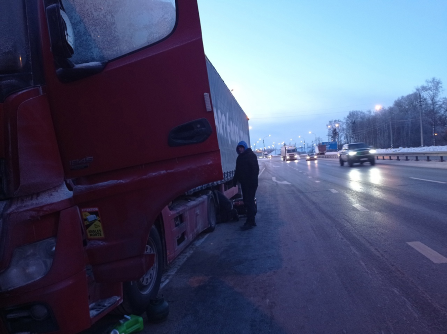 Фото: ВПСО «Сова»