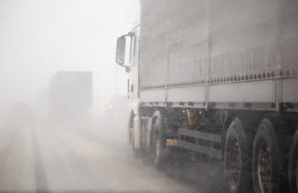 Фото: Кристина Белякова/РИА Верхневолжье