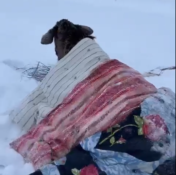 Фото: Подслушано в Весьегонске