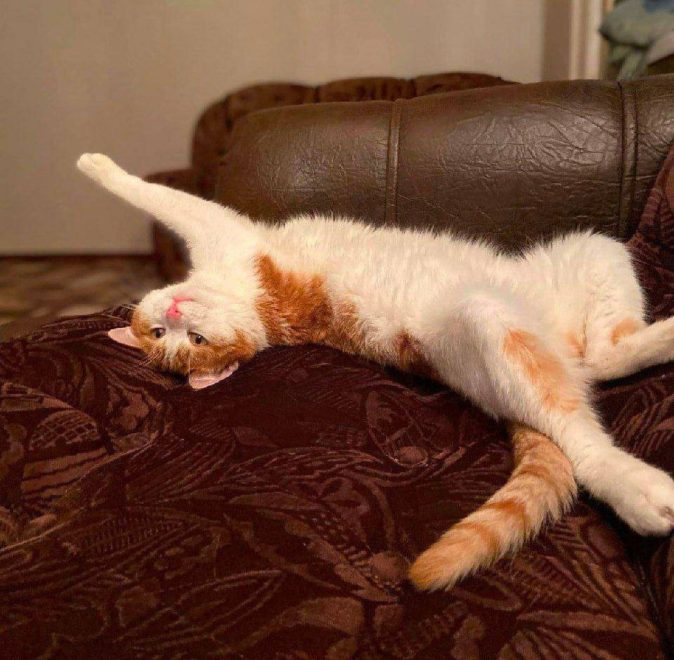 Фото: Мурзилка