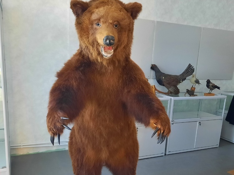 Фото: Оленино - наш дом