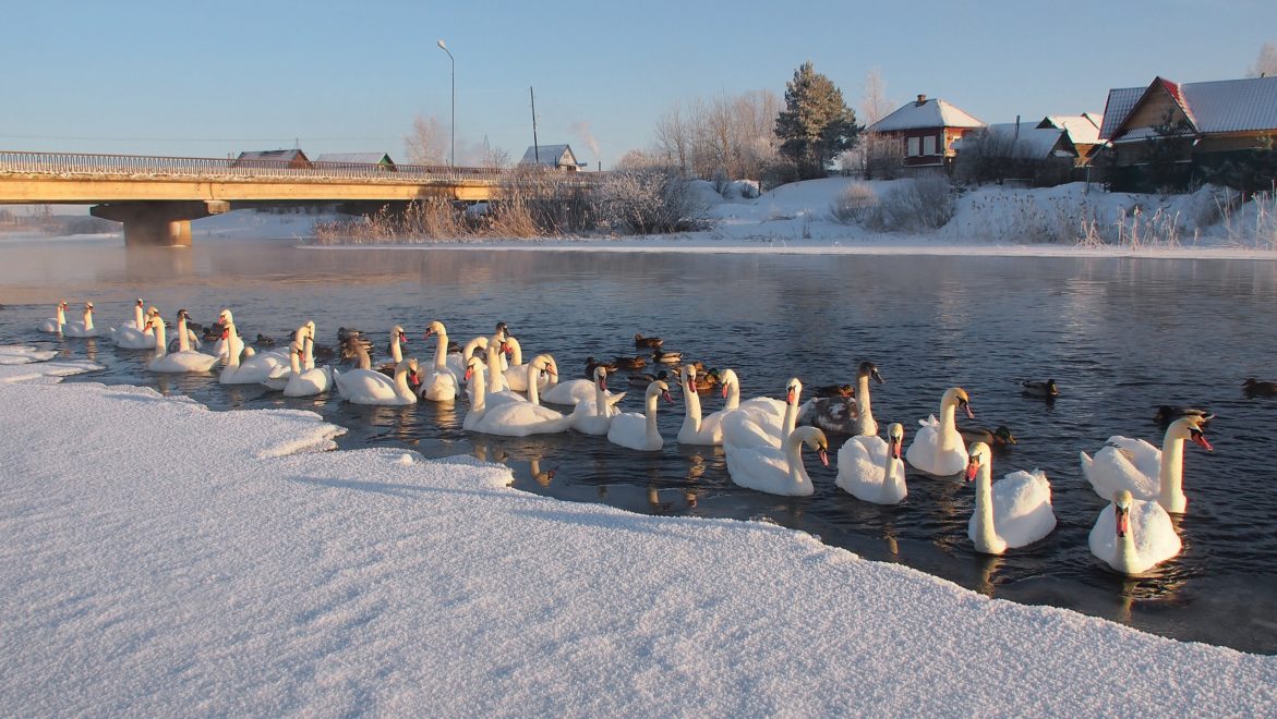 Фото: Александр Евлампиев