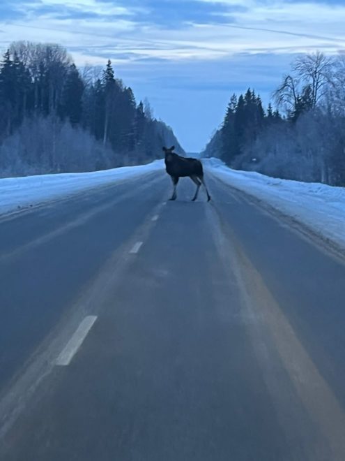 Фото: Наталья Смирнова/Черный Список Ржев