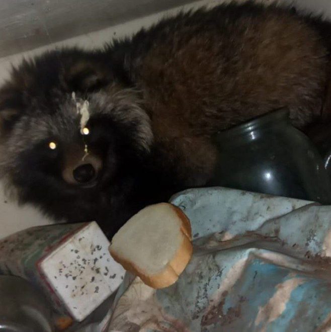 Фото: телеграм-канал 