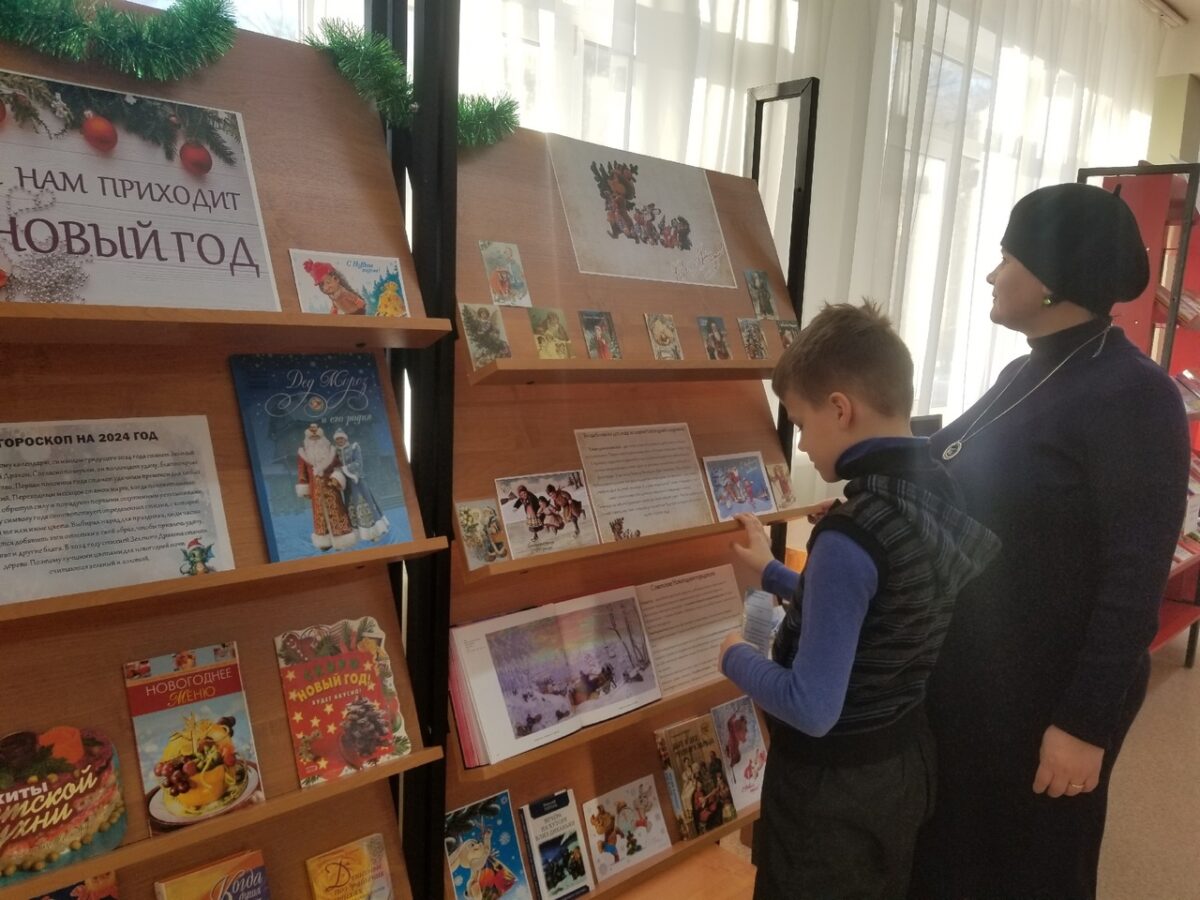 библиотека, новый год