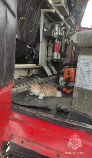 Фото: ГУ МЧС России по Тверской области