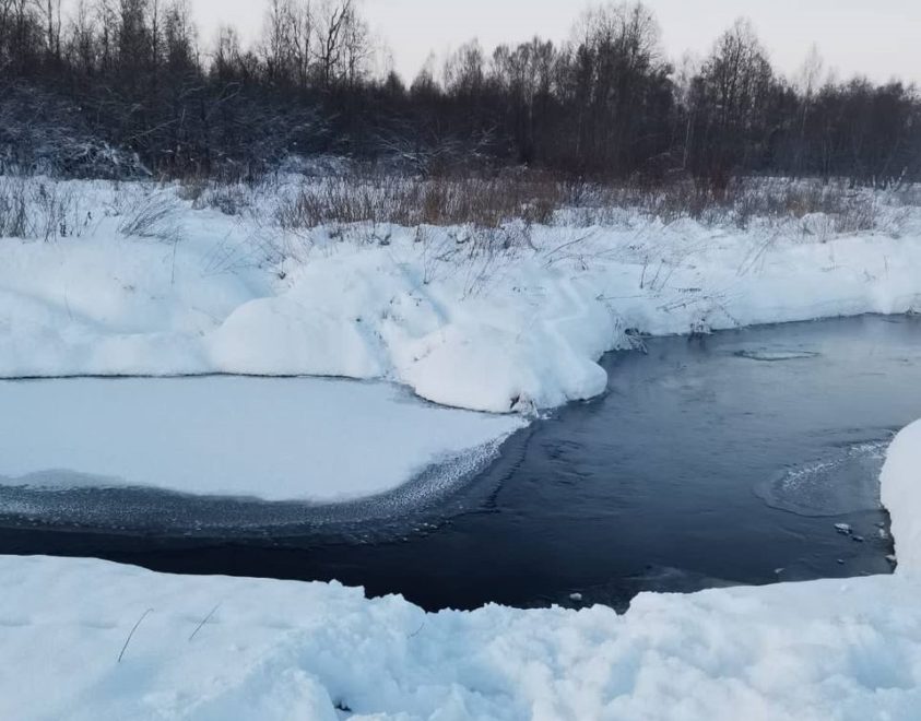 Фото: прокуратура региона