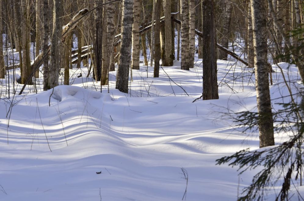 Фото: архив ФГБУ