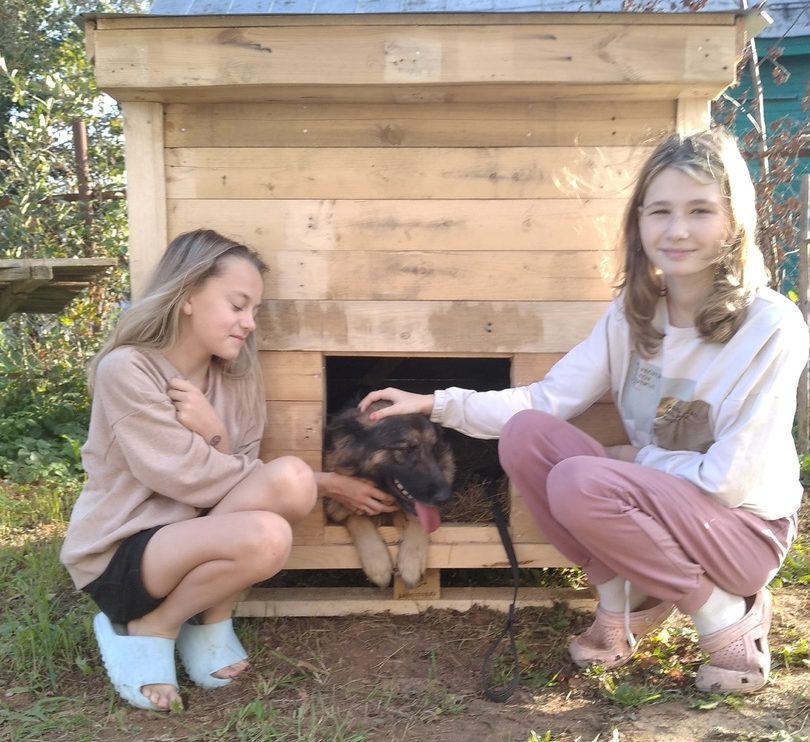 инициативка 2