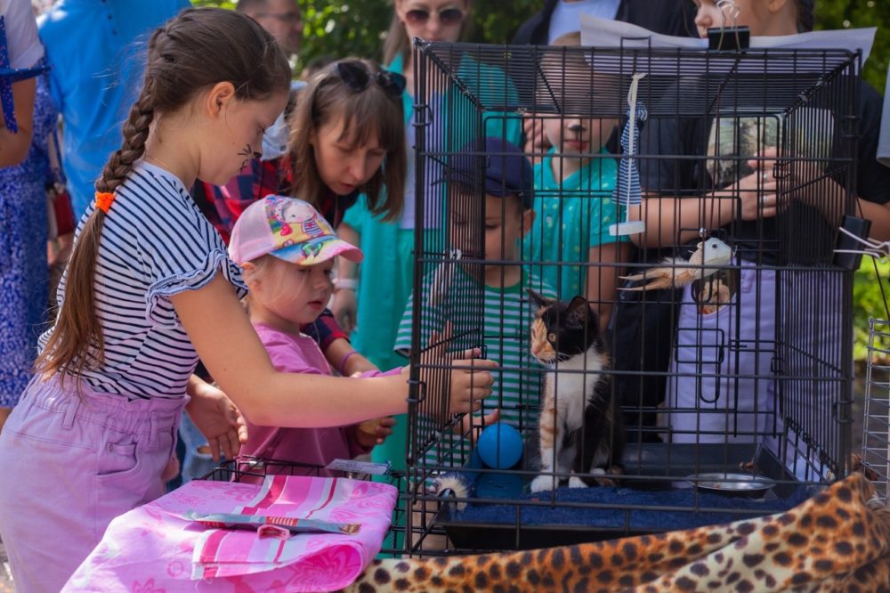 инициативка 6