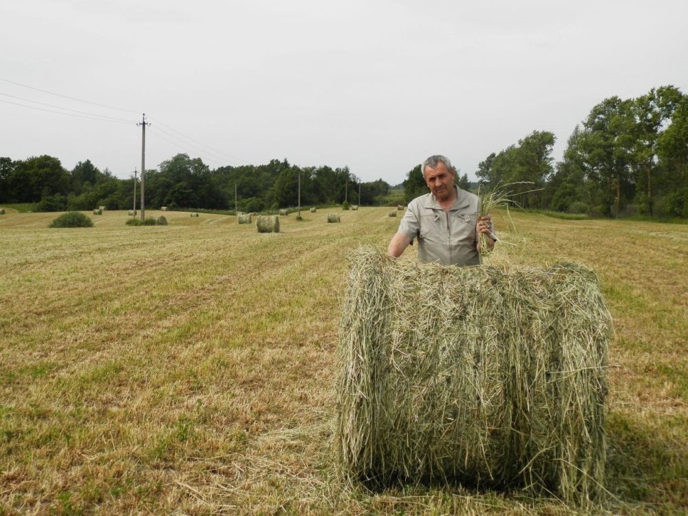 Павел Образцов: Наше дело правое