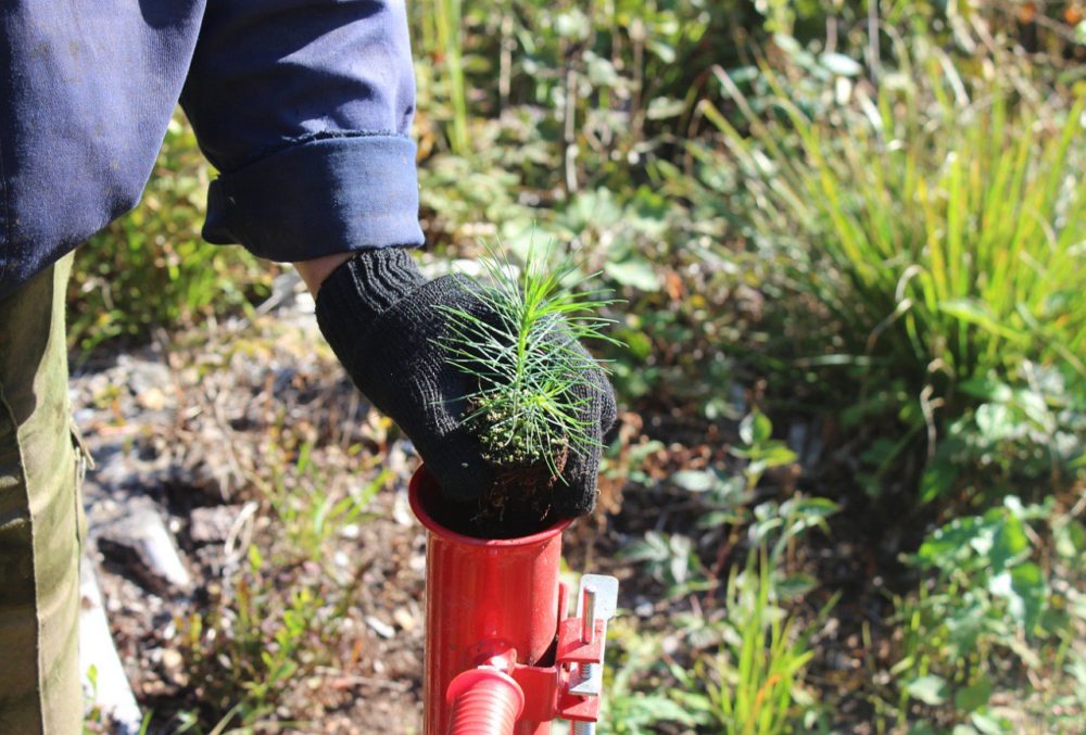 Фото: Правительство Тверской области