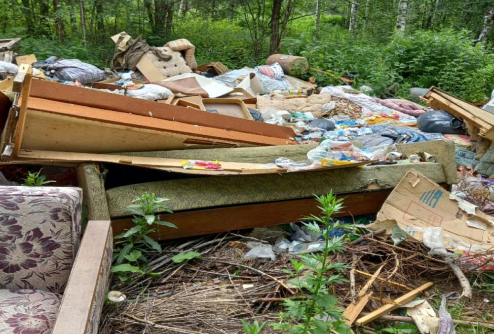 свалка в лесу
