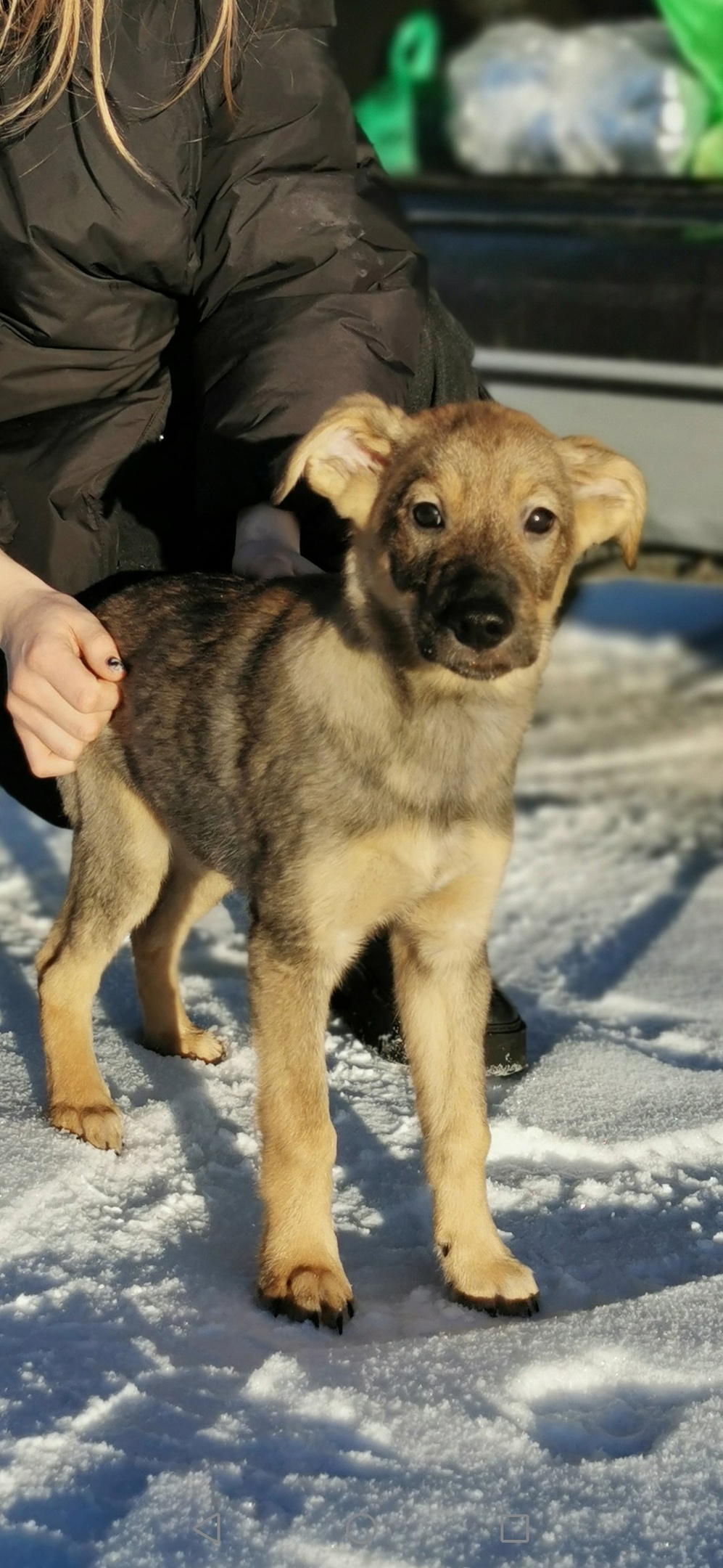 Фото: Оксана Пасынков/Подслушано Старица