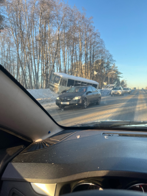 Фото: Елизавета Белякова/News69