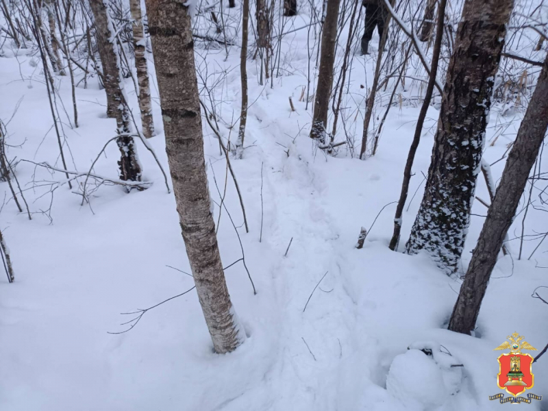 Фото: УМВД России по Тверской области