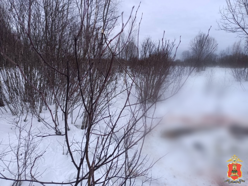 браконьер, лоси