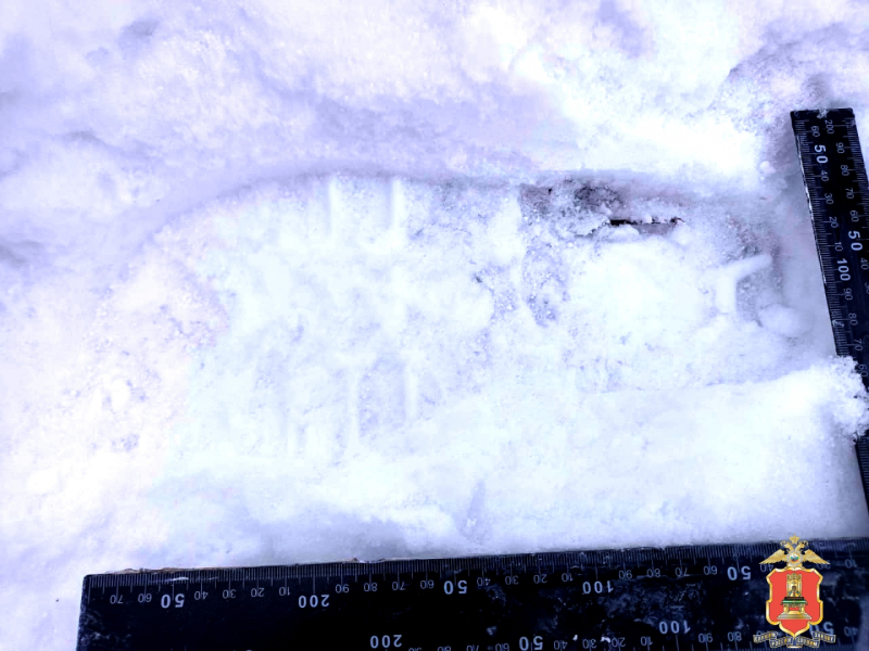 браконьер, лоси