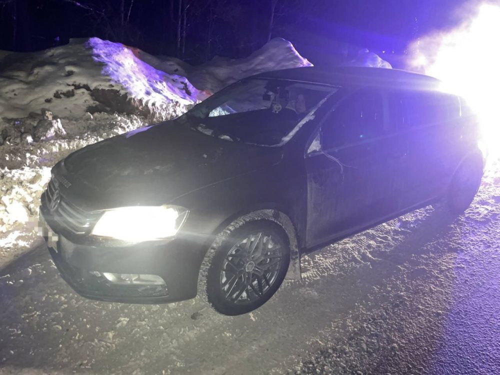 дтп, петербургское шоссе