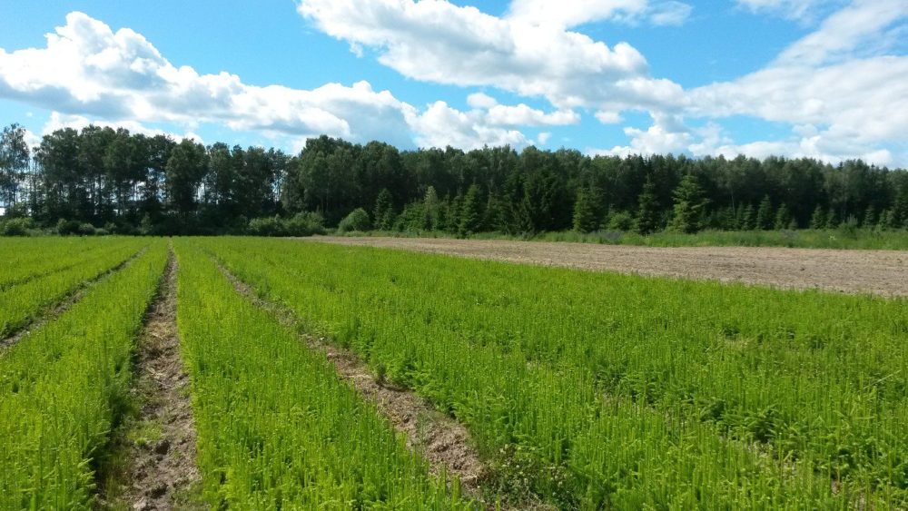 Фото: Правительство Тверской области