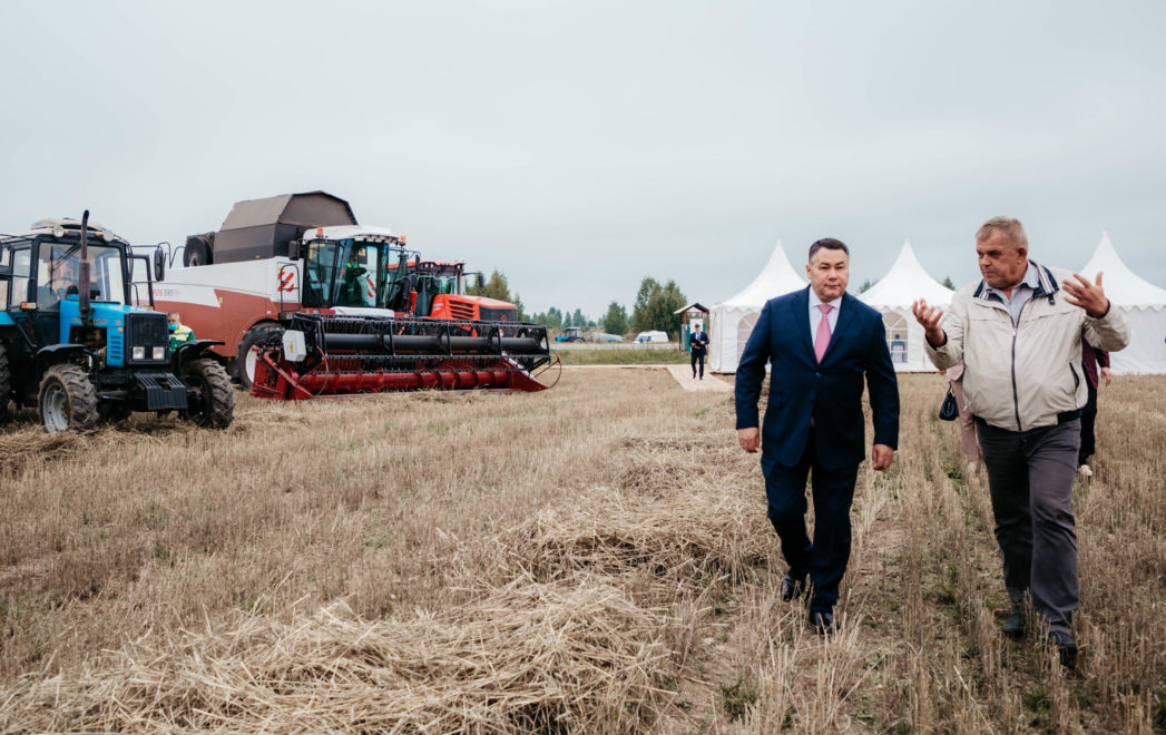 Фото: Кристина Белякова/РИА Верхневолжье