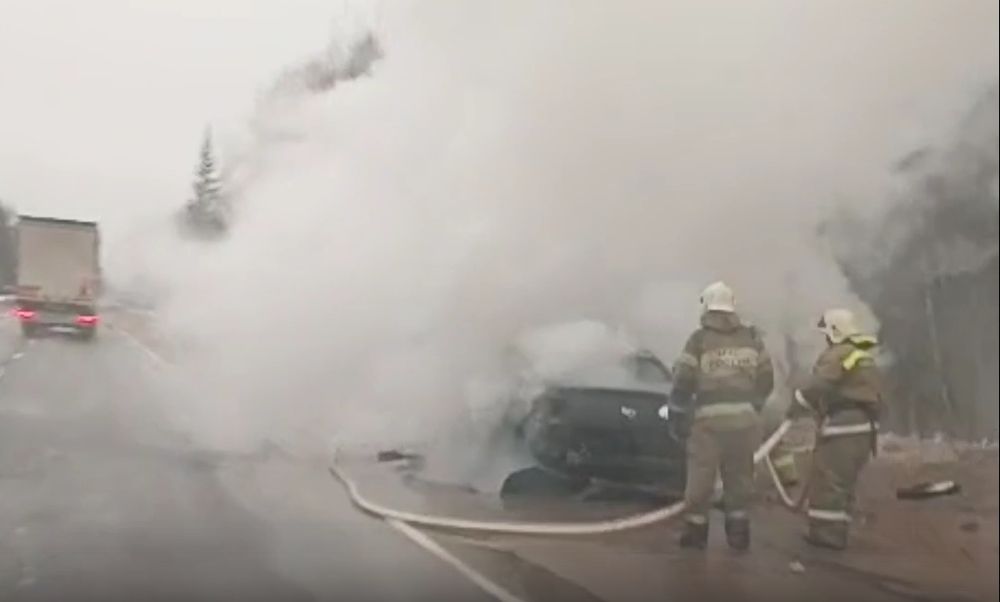 Фото: скрин с видео