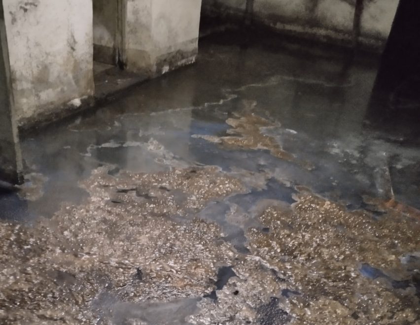 Фото: группа в ВК 