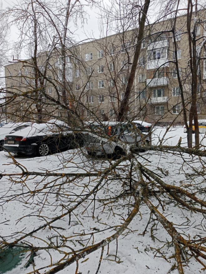 Фото: Светлана Савельева
