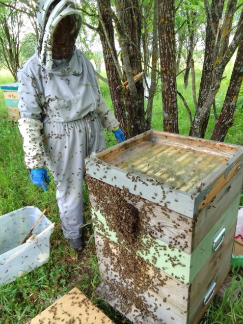 из архива Леонида Кульматова (2)