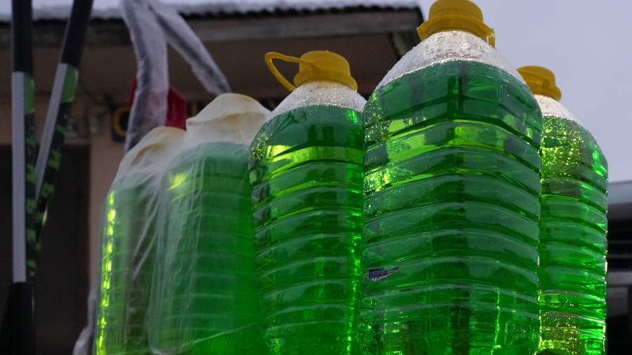 Фото: ИЗВЕСТИЯ/Дмитрий Коротаев