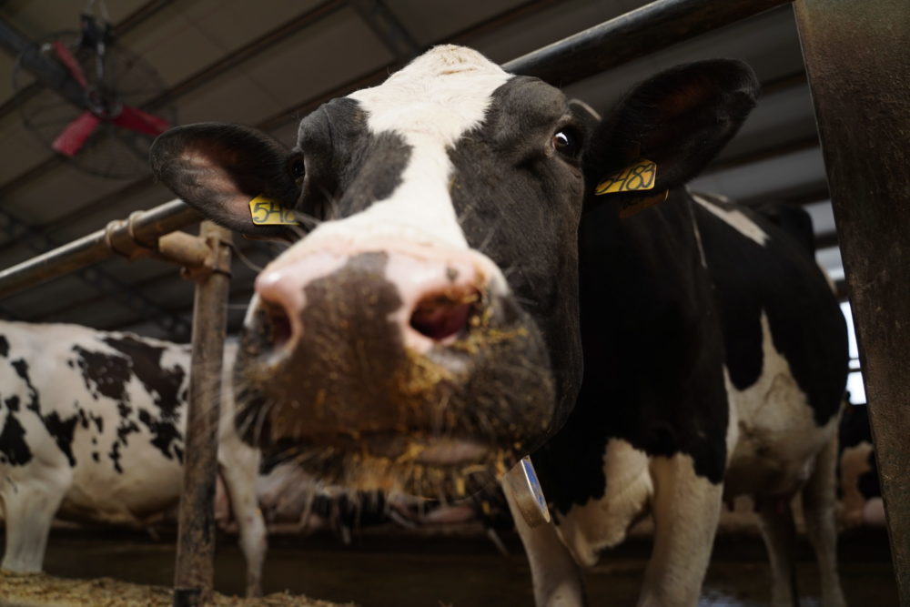 Фото: Правительство Тверской области