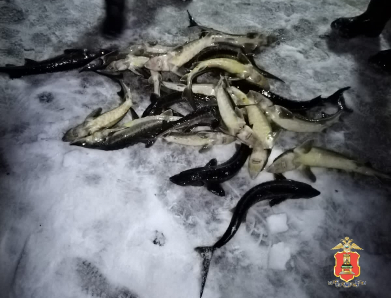 Фото: МВД региона