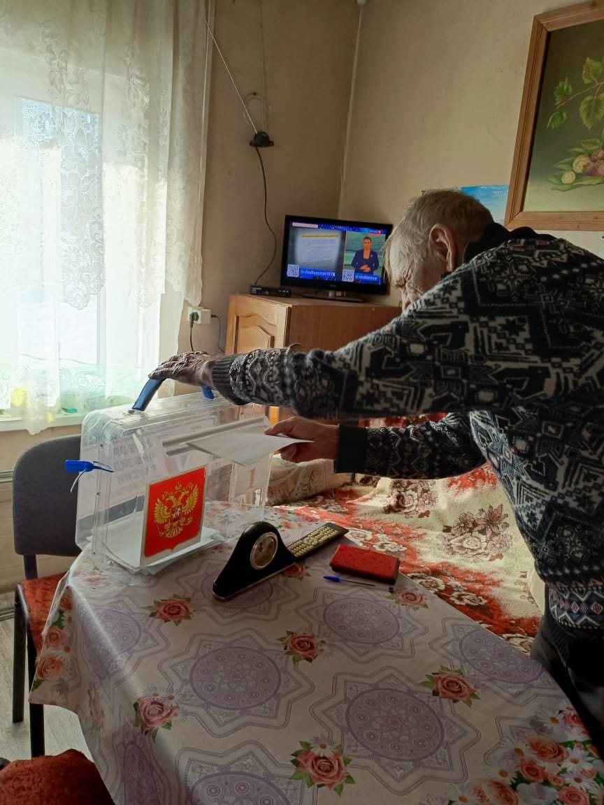 голосование, андреаполь